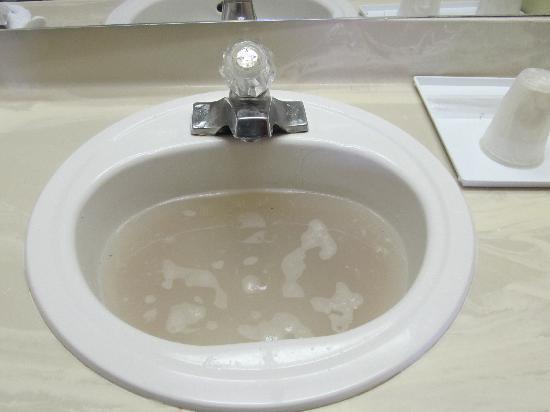 avoid clogged drains