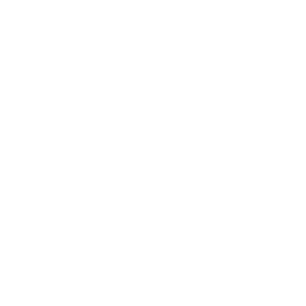 blank icon 5 1