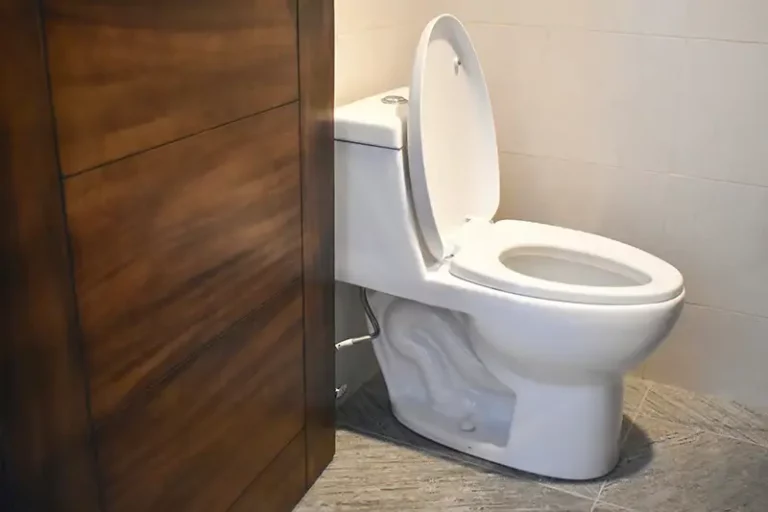 How to Unclog Your Slow-Draining Toilet in Scarborough, ME
