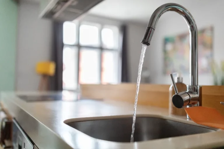 Sink Repair