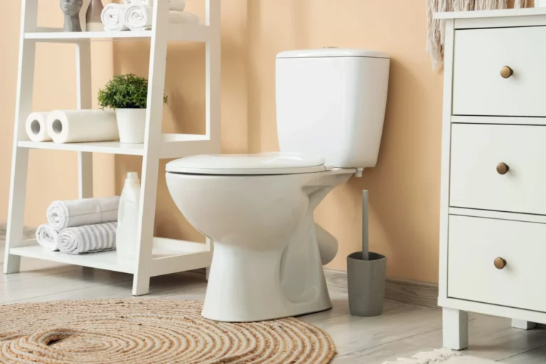 Toilet Install